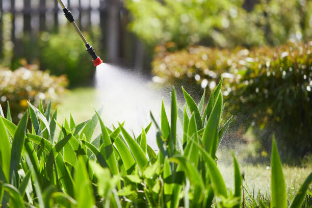 24/7 Emergency Termite Control experts in Bonners Ferry, ID