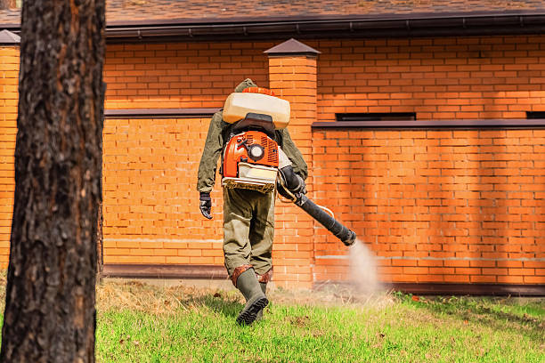 Trusted Fumigation Services service in Bonners Ferry, ID - Nex Pest Control